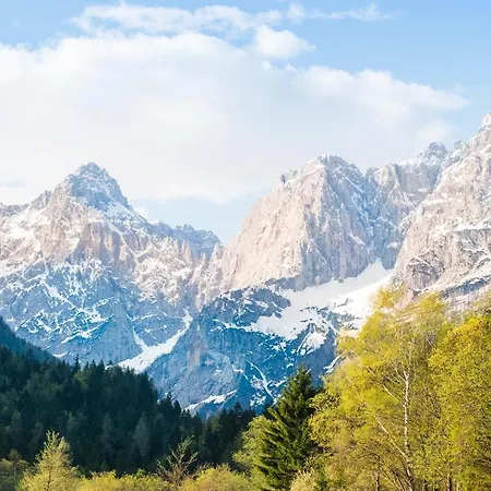 Planina Apartament Kranjska Gora